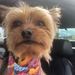 Meet your Posher, Marina